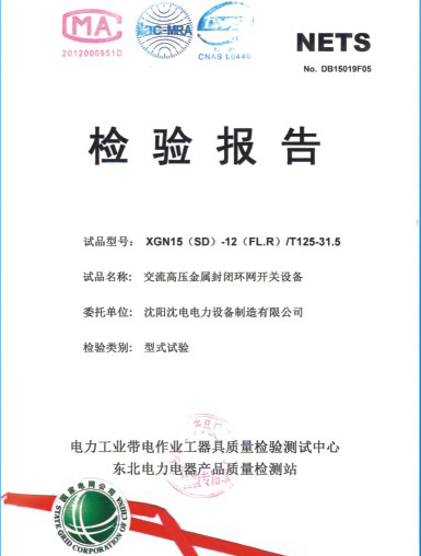 檢驗(yàn)報告